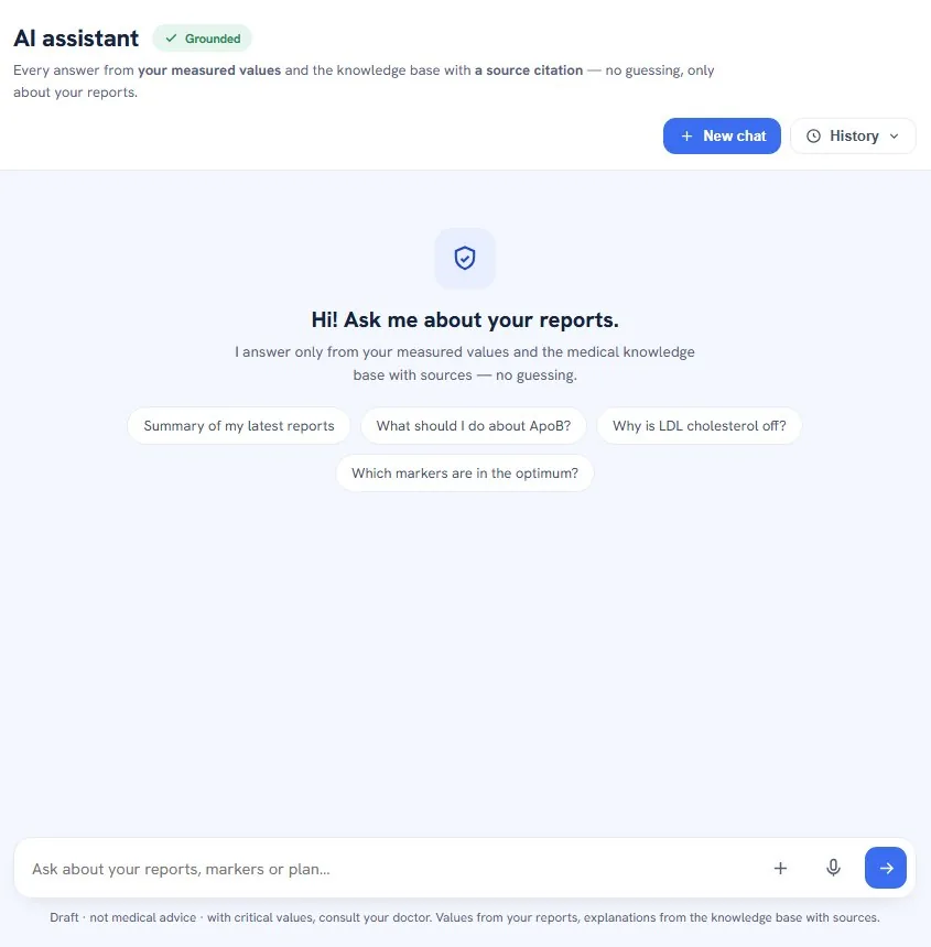 AI chat screen