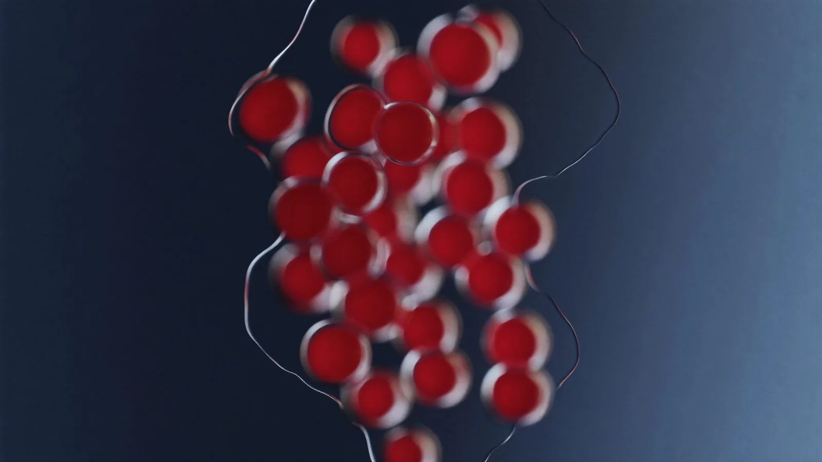 Red blood cells, abstract